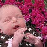 Eden in the Garden