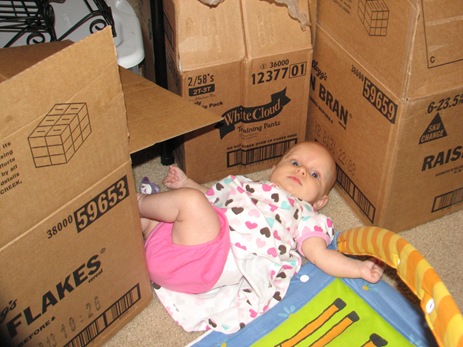 pictures 013
