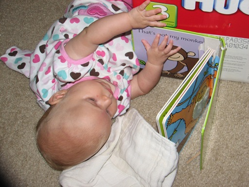 pictures 017