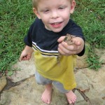 Fun on the Farm