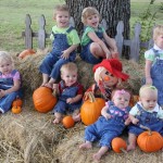 Pumpkin Patch