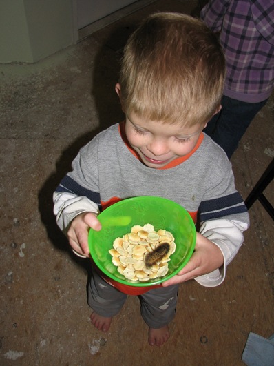 pics 005
