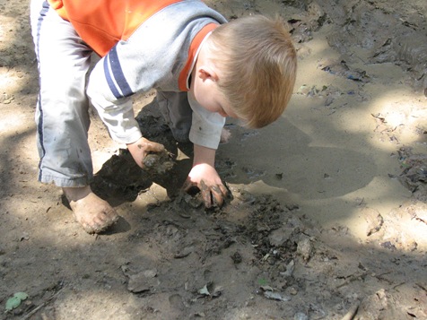 pics 007