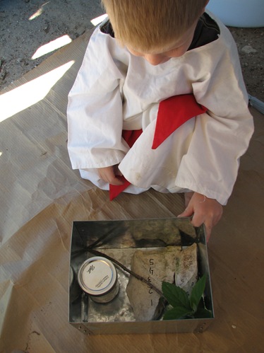 pics 029