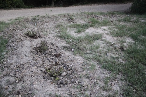 pics 025