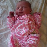 The New Addition