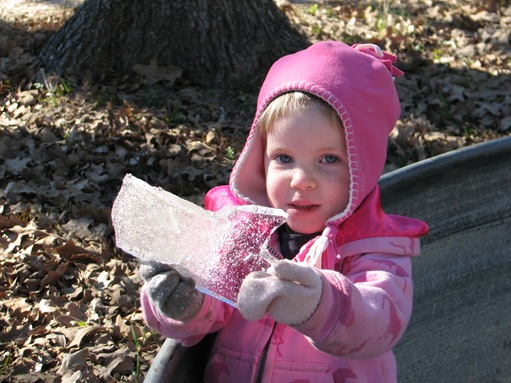 pics 029