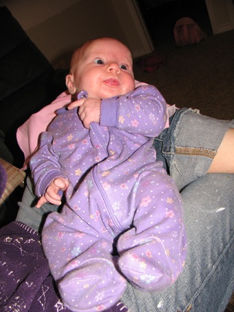 pics 240