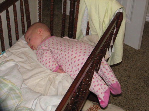 pics 004