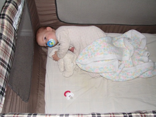 pics 240