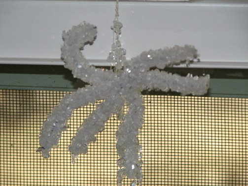 pics 023