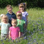 Flower pictures