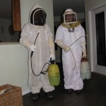 Pest Control