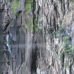 IMG_8736