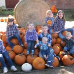 Pumpkins