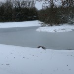 IMG_2423