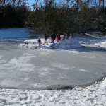 IMG_2434