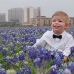 Bluebonnets