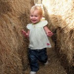 Pumpkin Patch