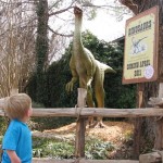 Zoo Adventures!