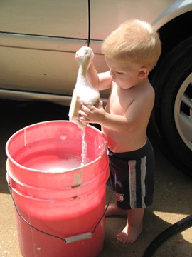 IMG_8708 IMG_8708